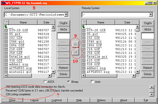 wsftp2.gif (23622 byte)